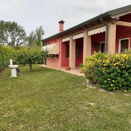 B&B Damoira Musile di Piave Экстерьер фото